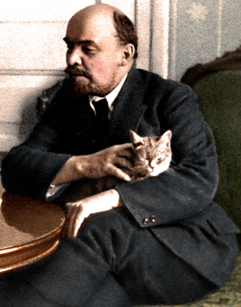 Detail Lenin Cats Nomer 3