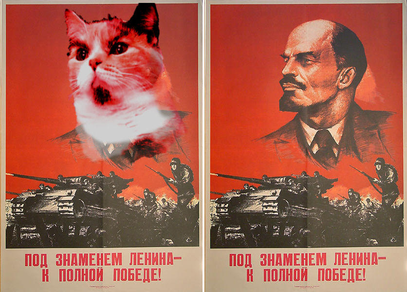 Detail Lenin Cats Nomer 20