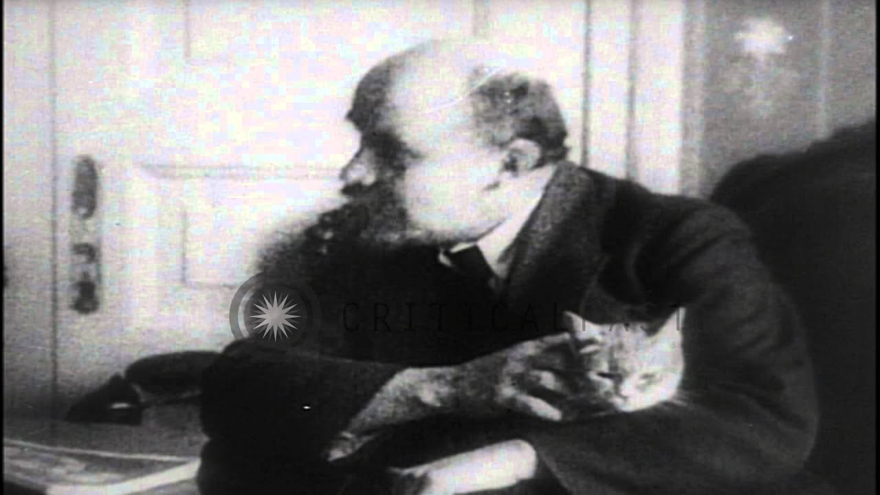 Detail Lenin Cats Nomer 4