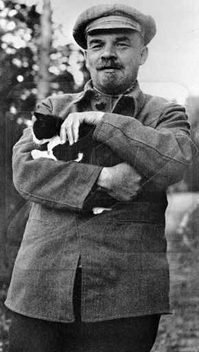 Detail Lenin Cats Nomer 5