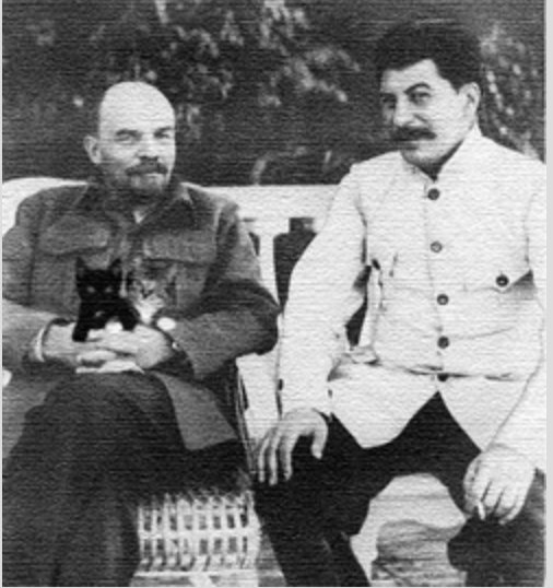 Detail Lenin Cats Nomer 42