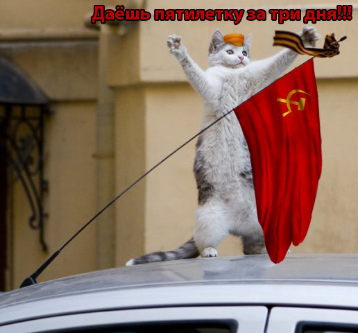 Detail Lenin Cats Nomer 45