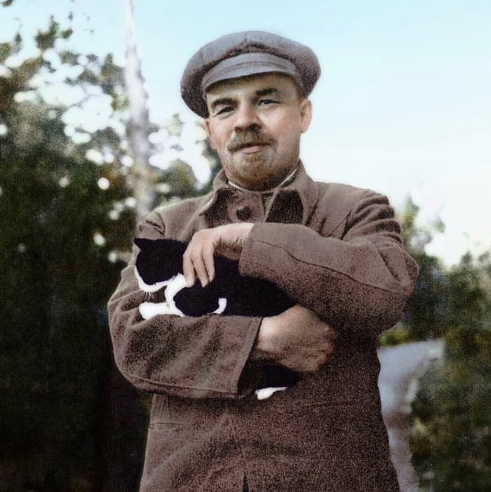 Detail Lenin Cats Nomer 9