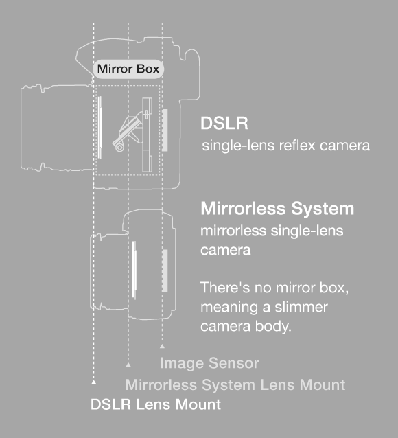 Detail Lensa Micro Four Thirds Nomer 38