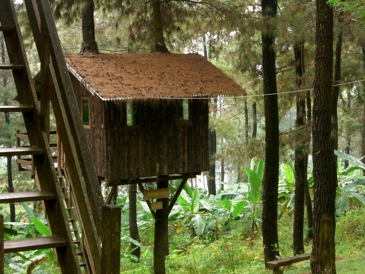 Detail Model Rumah Pohon Sederhana Nomer 34