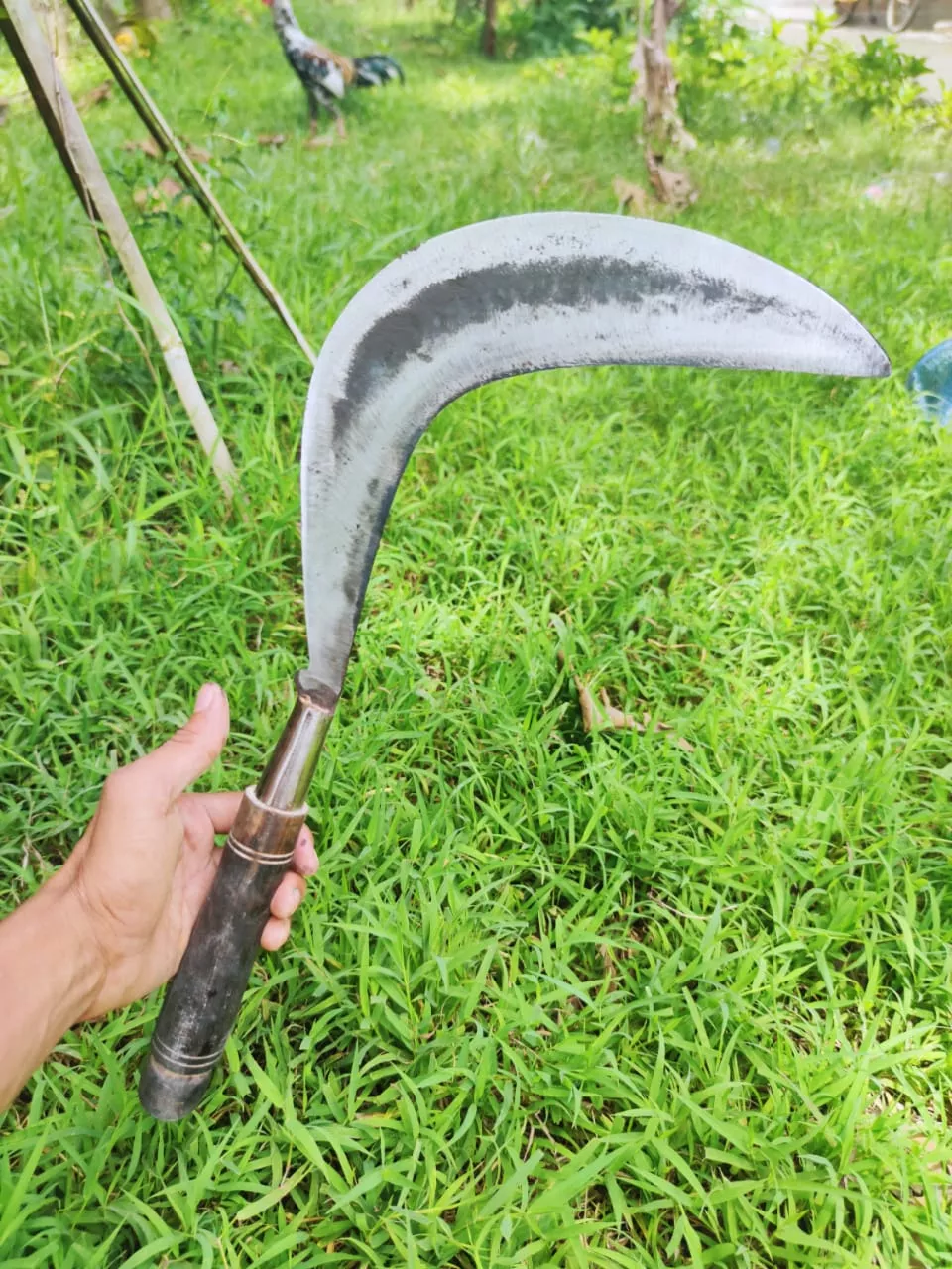 Detail Model Sabit Rumput Nomer 24