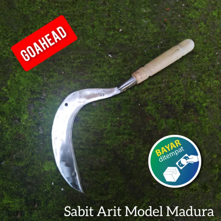 Detail Model Sabit Rumput Nomer 4