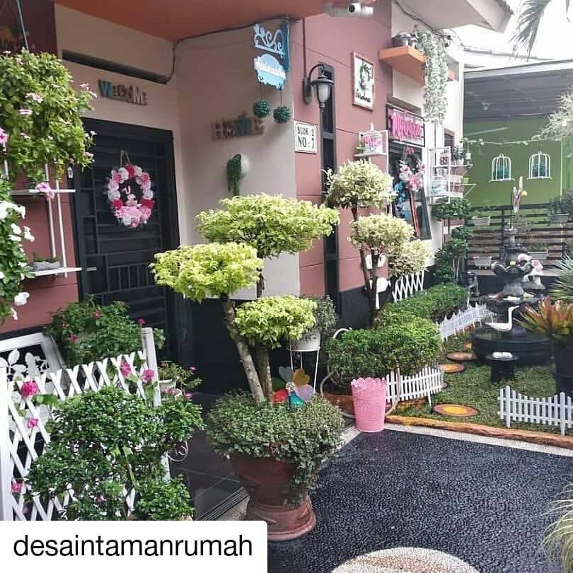 Detail Model Tanaman Hias Depan Rumah Nomer 23