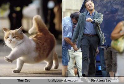 Detail Leo Dicaprio Walking Meme Nomer 36