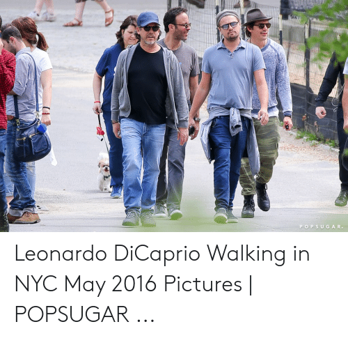 Detail Leo Dicaprio Walking Meme Nomer 51