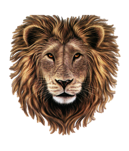 Detail Leo Lion Png Nomer 12