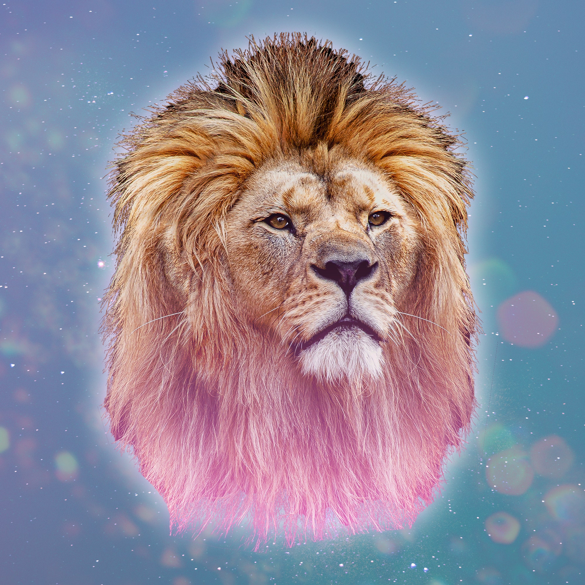 Detail Leo Picture Nomer 2
