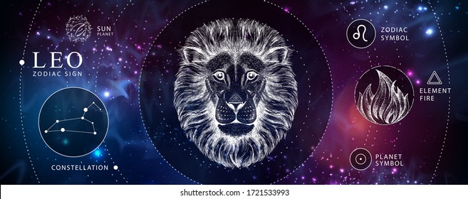 Detail Leo Picture Nomer 16
