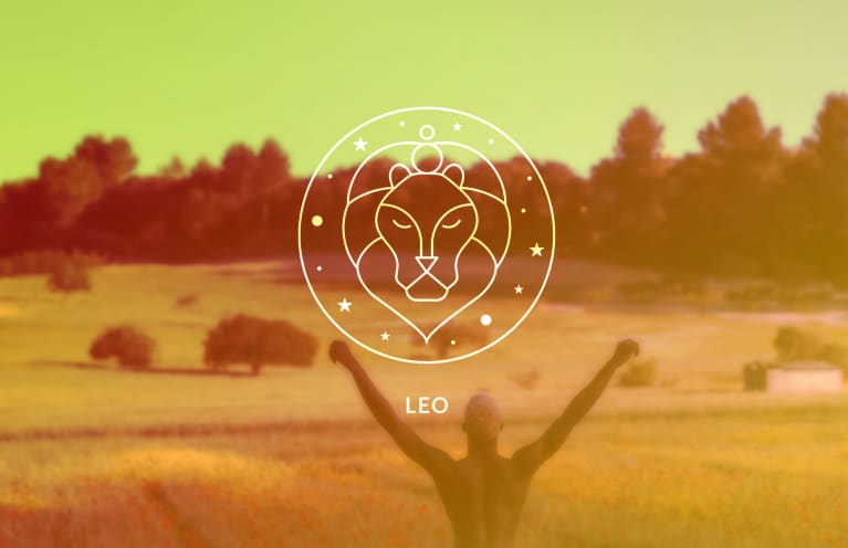 Detail Leo Picture Nomer 25