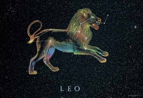 Detail Leo Picture Nomer 52
