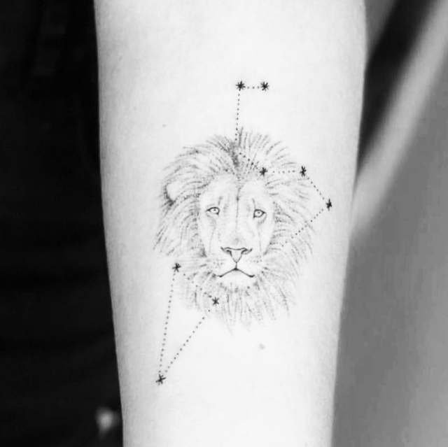 Detail Leo Picture Nomer 57