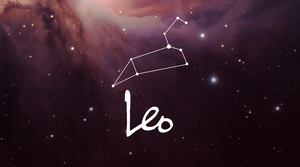 Detail Leo Picture Nomer 7