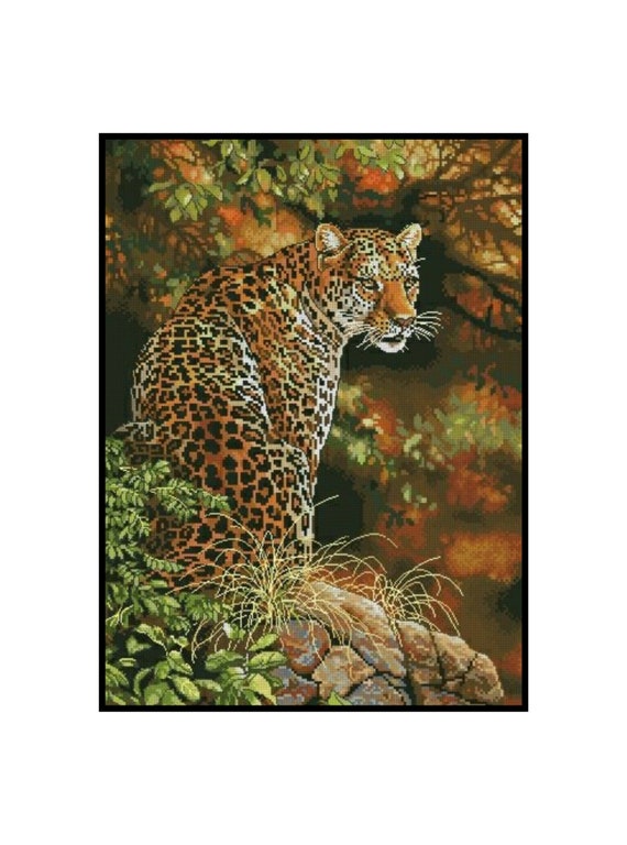 Detail Leopard Download Nomer 37