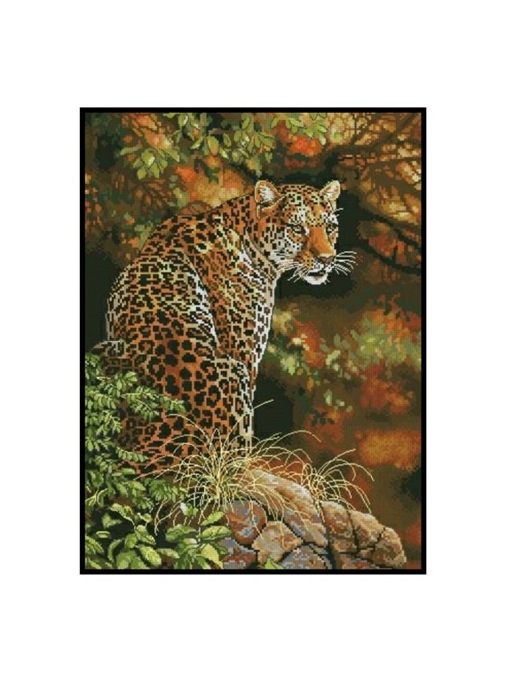 Detail Leopard Download Nomer 37