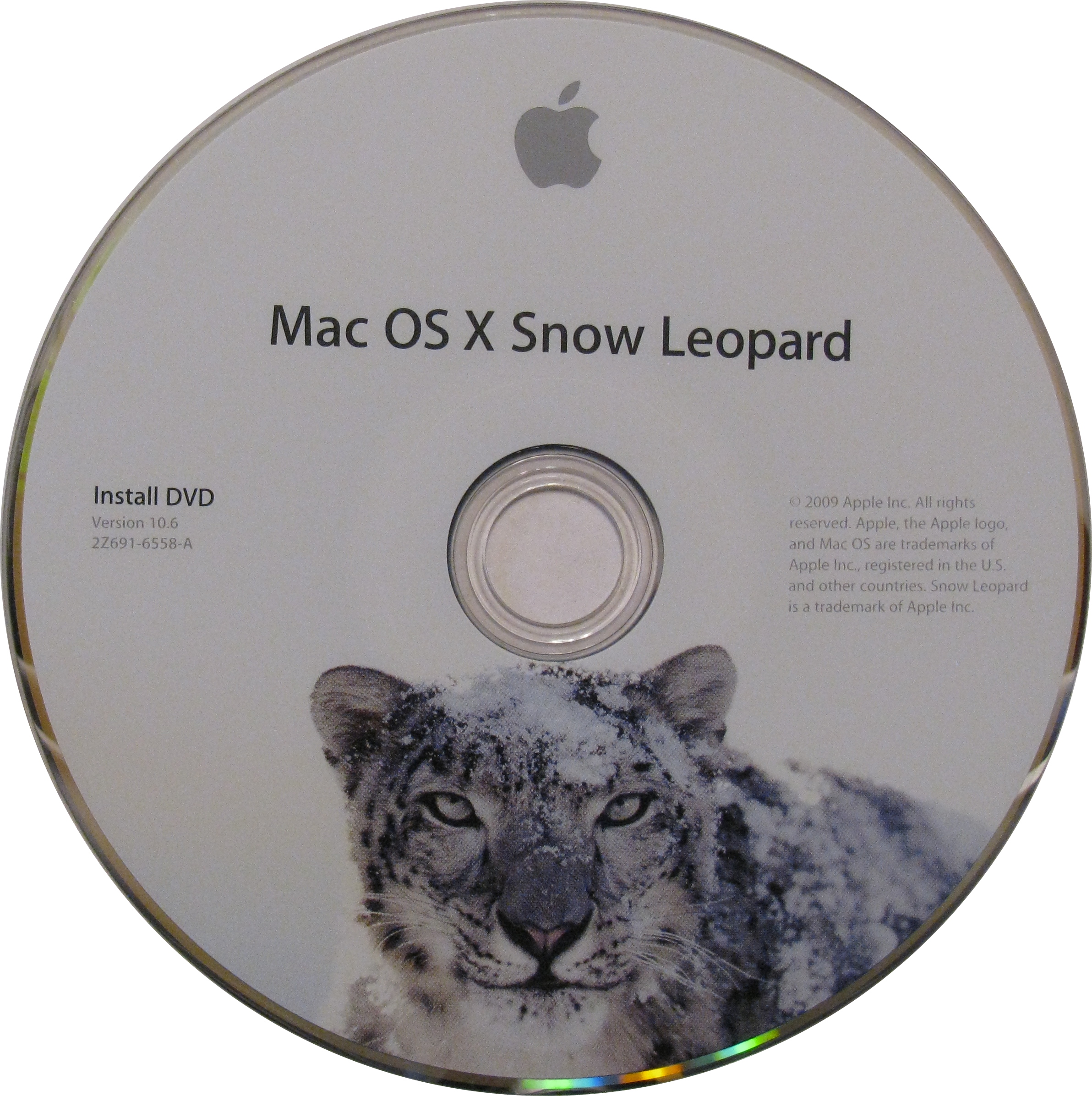 Detail Leopard Download Nomer 43