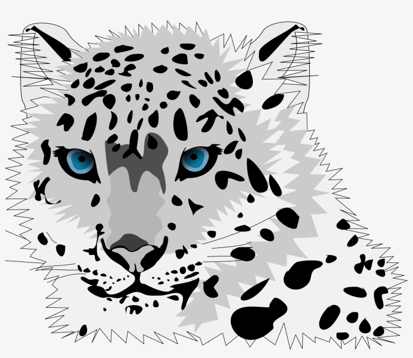 Detail Leopard Download Nomer 47