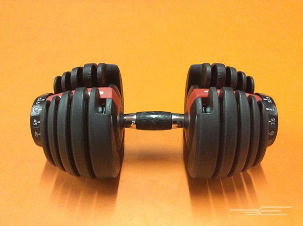 Detail Leopard Dumbbells Nomer 36