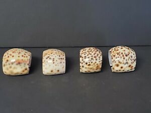 Detail Leopard Napkin Rings Nomer 16