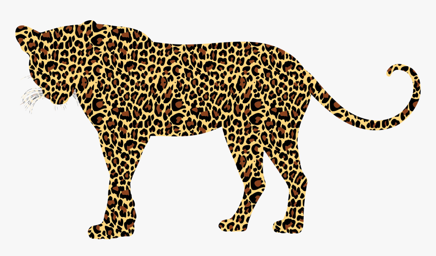 Detail Leopard No Background Nomer 38