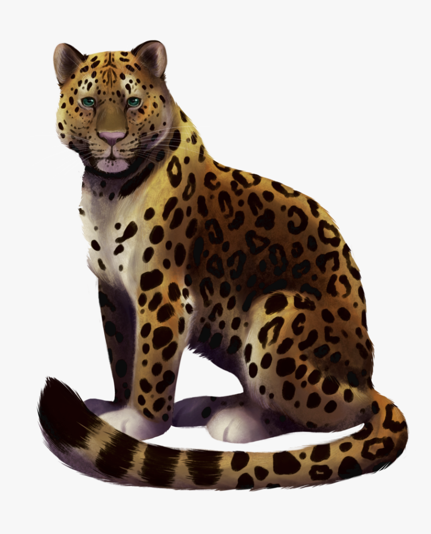 Detail Leopard No Background Nomer 47