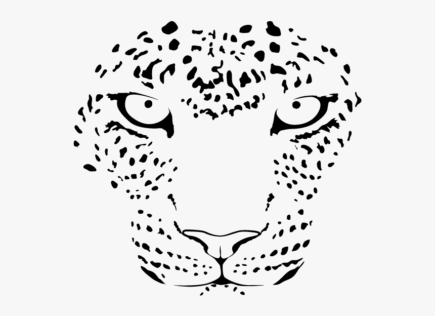 Detail Leopard No Background Nomer 51