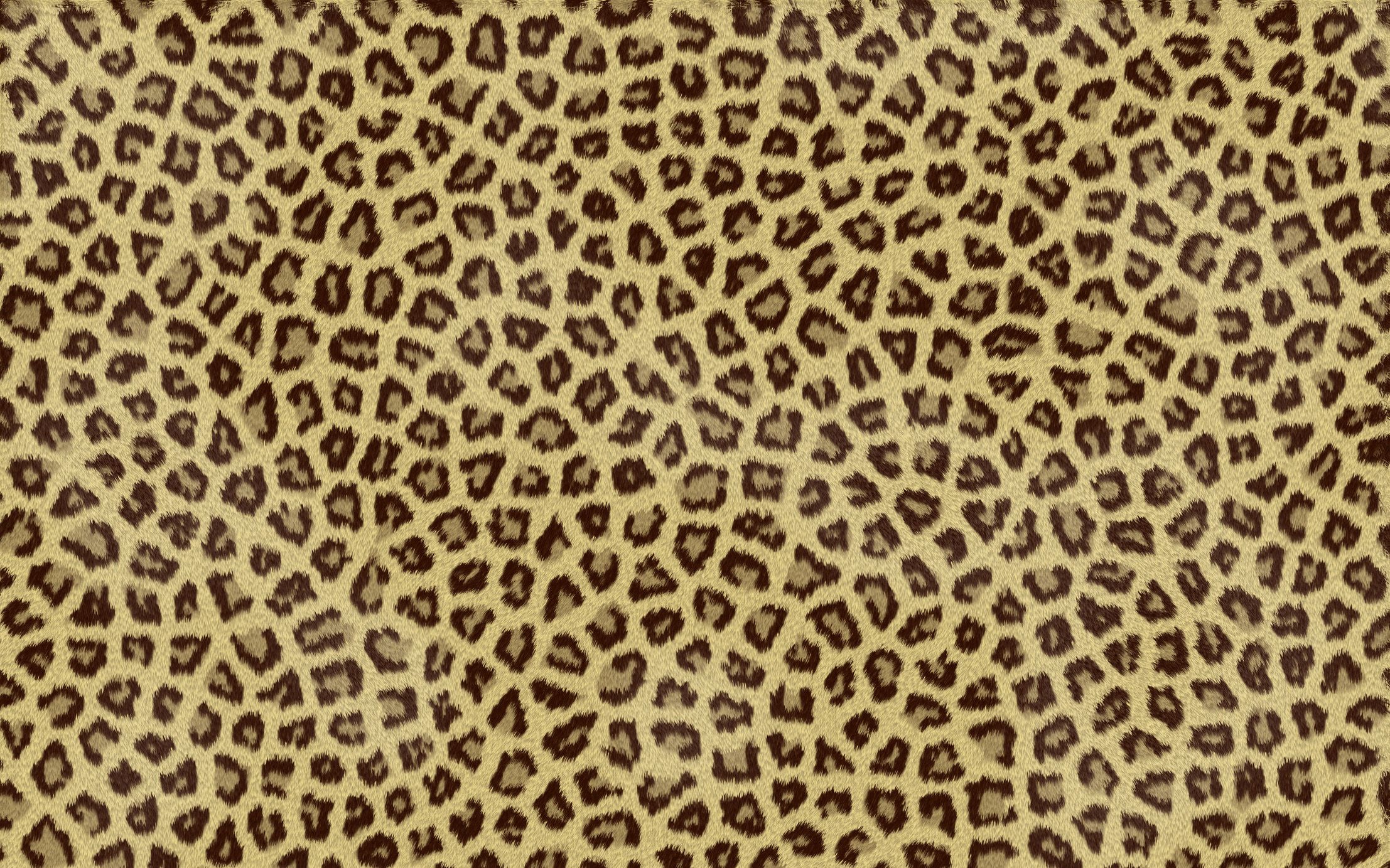 Detail Leopard Print Computer Wallpaper Nomer 12