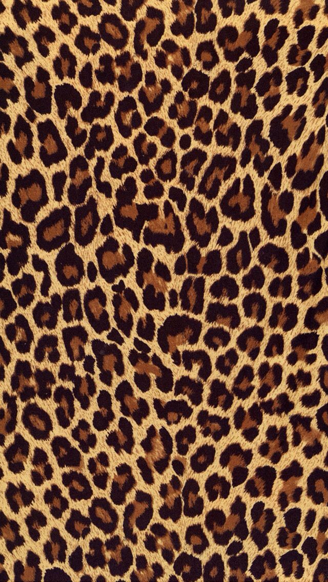 Detail Leopard Print Computer Wallpaper Nomer 17