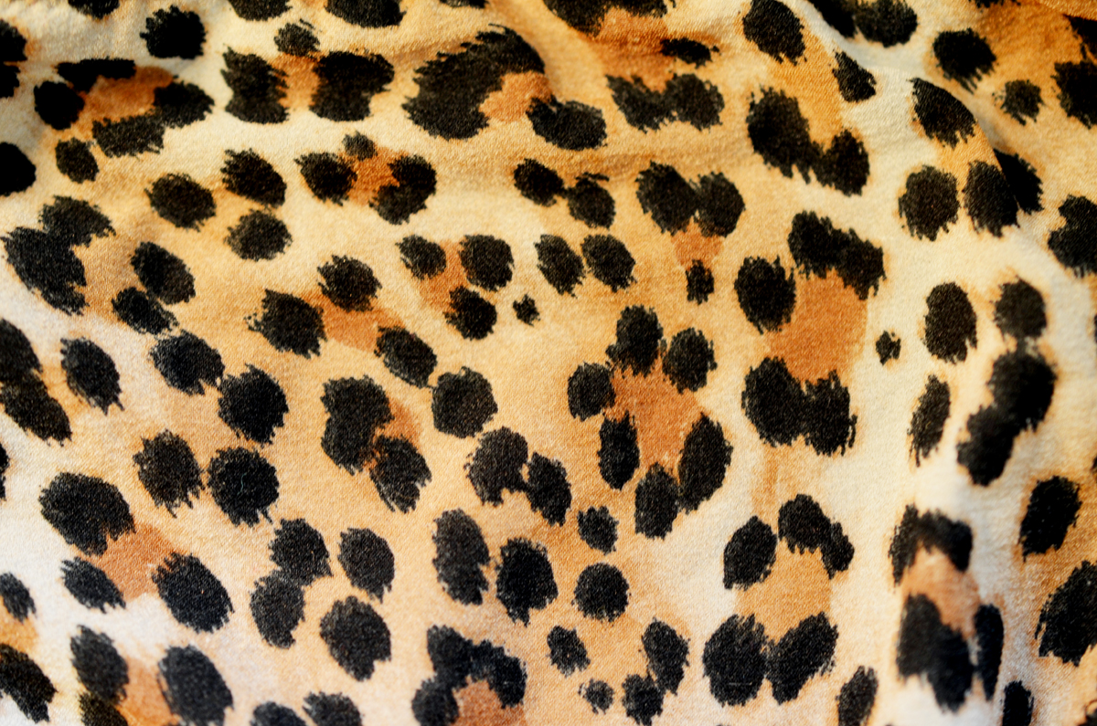 Detail Leopard Print Computer Wallpaper Nomer 46