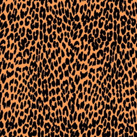 Detail Leopard Print Images Clipart Nomer 20