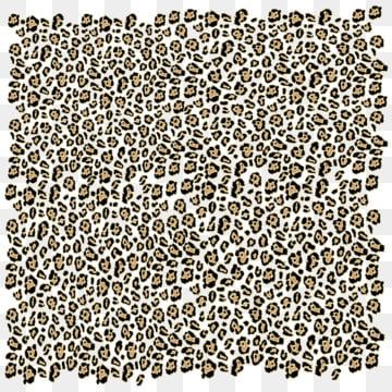 Detail Leopard Print Images Clipart Nomer 34