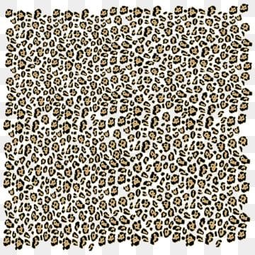 Detail Leopard Print Png Nomer 29