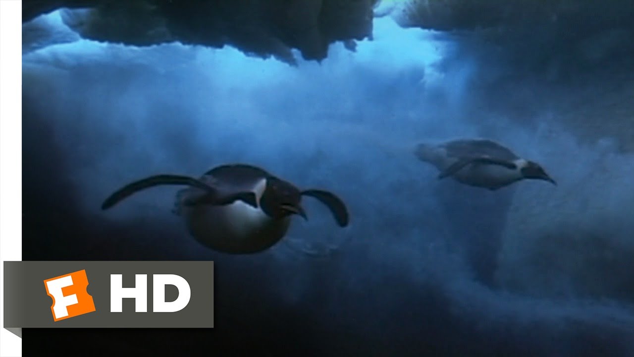 Detail Leopard Seal Penguins Of Madagascar Nomer 9