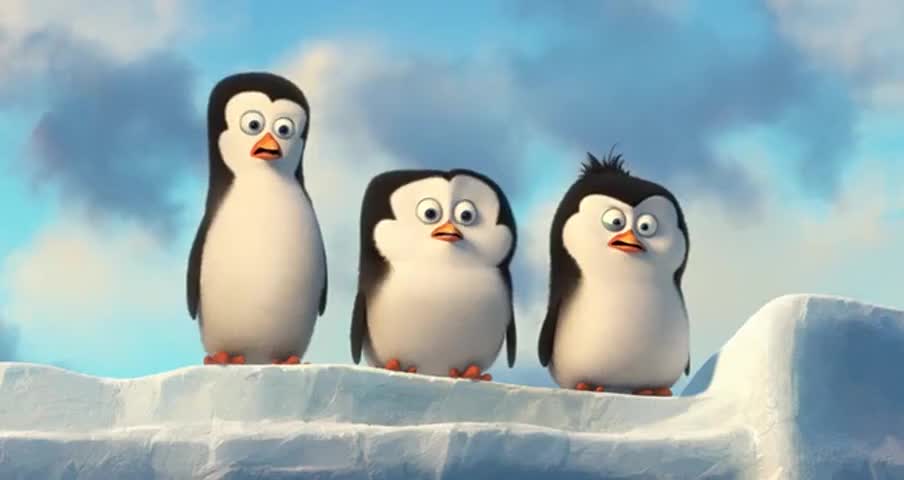 Detail Leopard Seal Penguins Of Madagascar Nomer 16