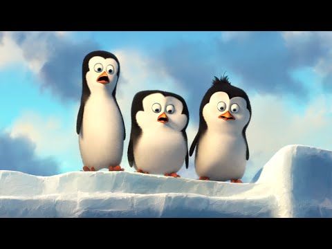 Detail Leopard Seal Penguins Of Madagascar Nomer 49