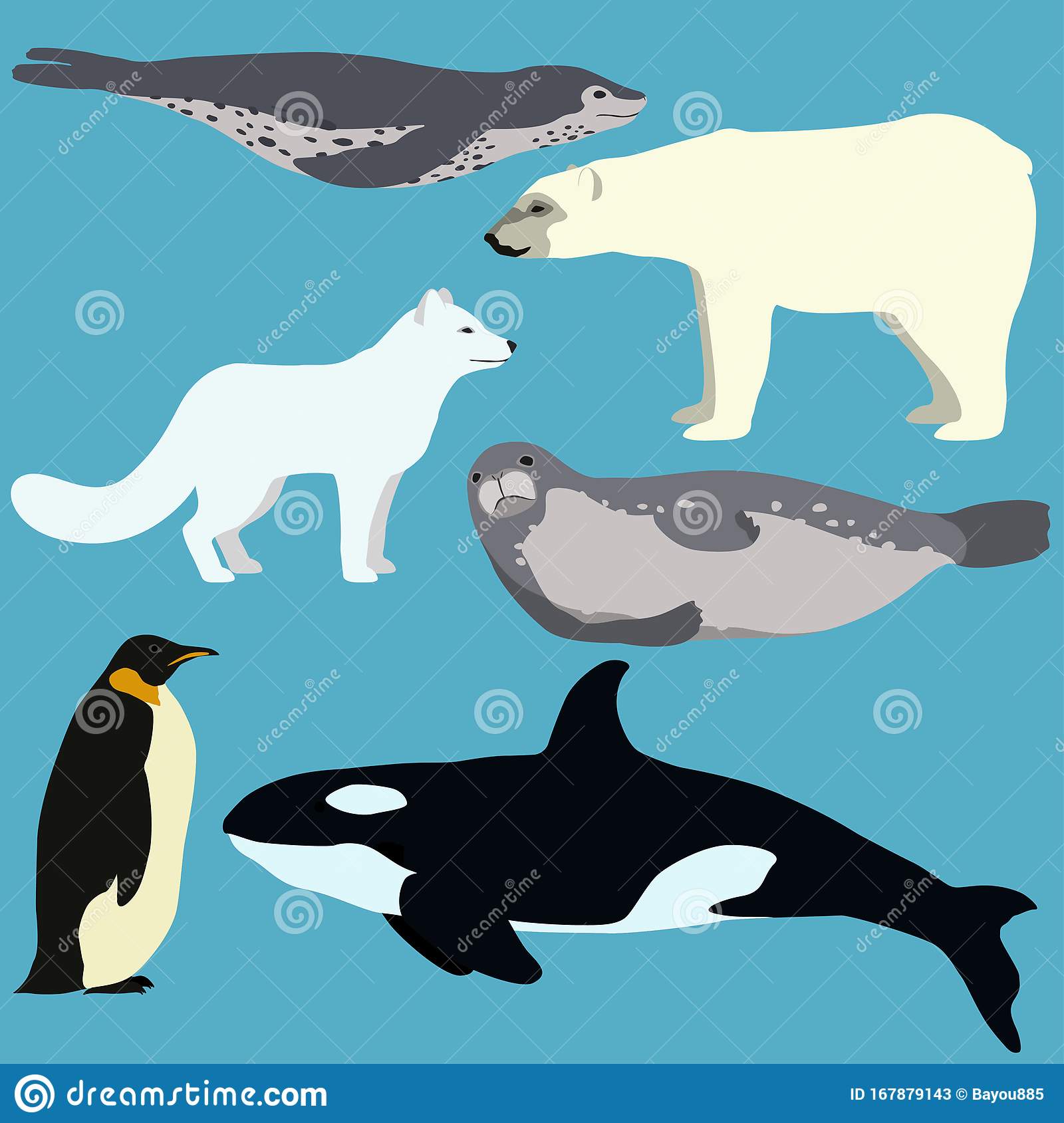 Detail Leopard Seal Vs Killer Whale Nomer 8