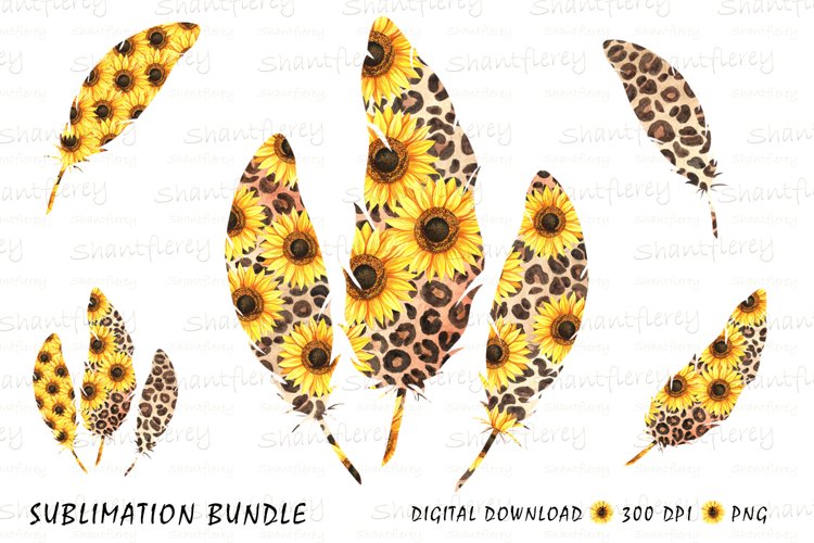 Detail Leopard Spots Png Nomer 57