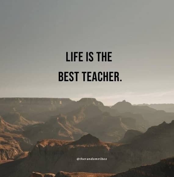 Detail Lesson Learned Quotes Nomer 4