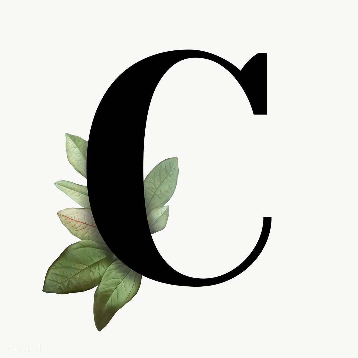 Detail Letter C Png Nomer 13