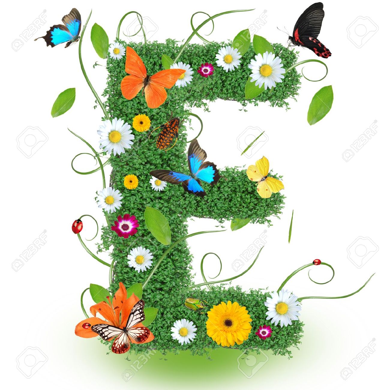 Detail Letter E Image Nomer 58