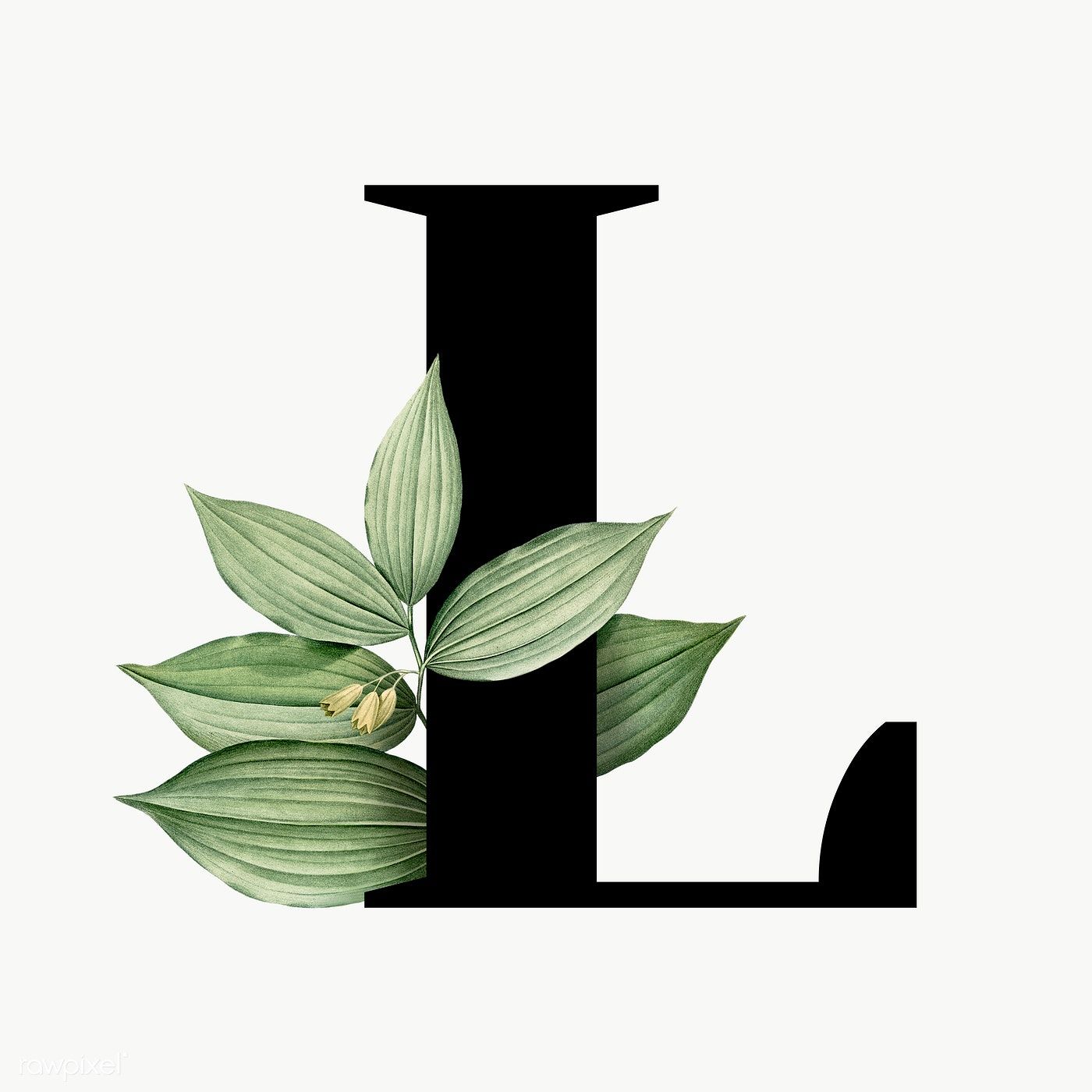 Detail Letter L Transparent Background Nomer 19