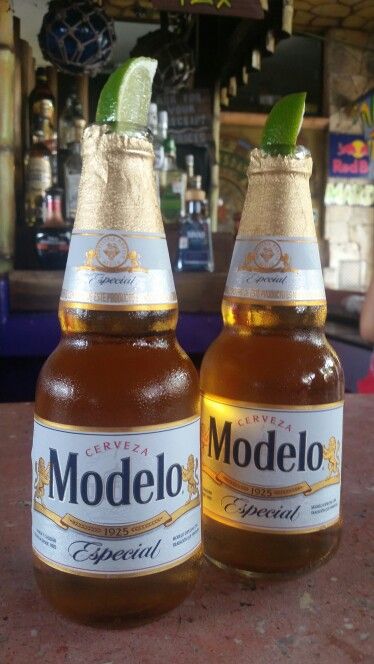 Detail Modelo Beer Wallpaper Nomer 21