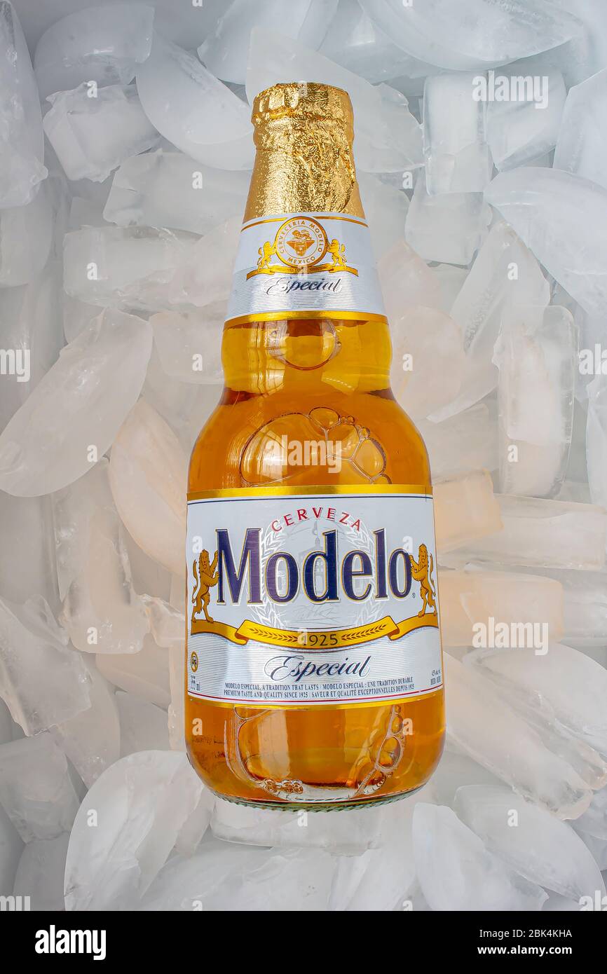 Detail Modelo Beer Wallpaper Nomer 4