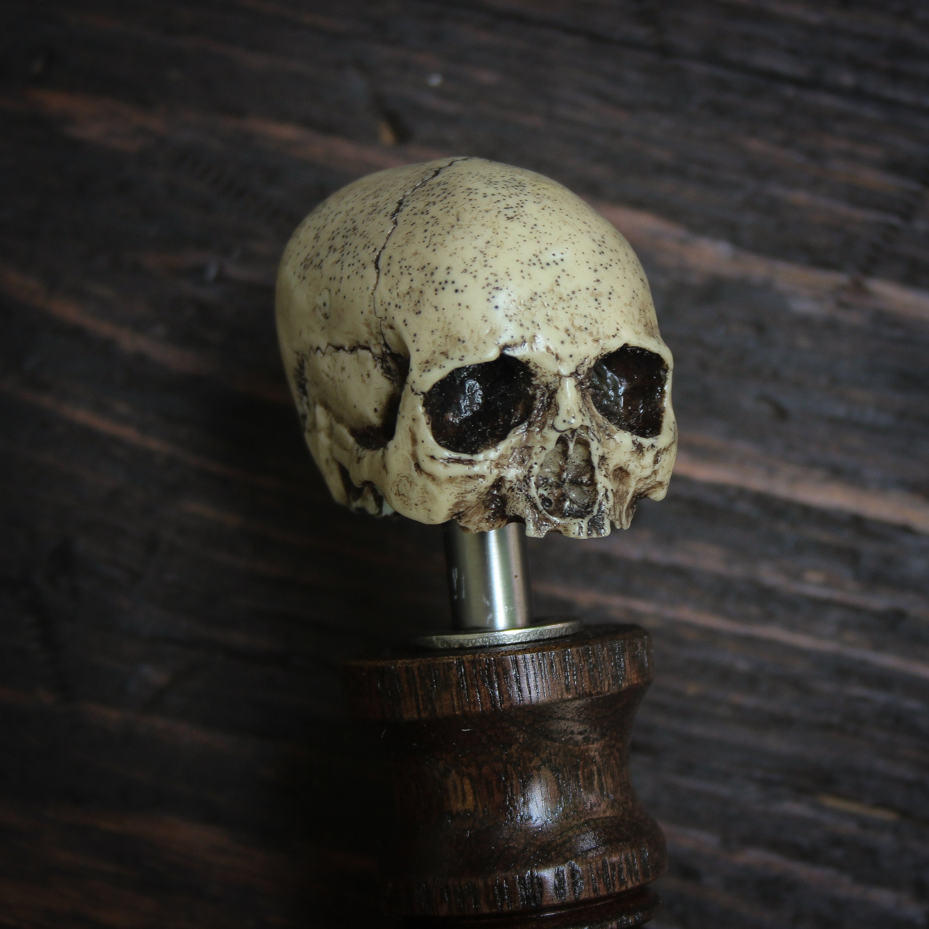 Detail Modelo Tap Handle Skull Nomer 19