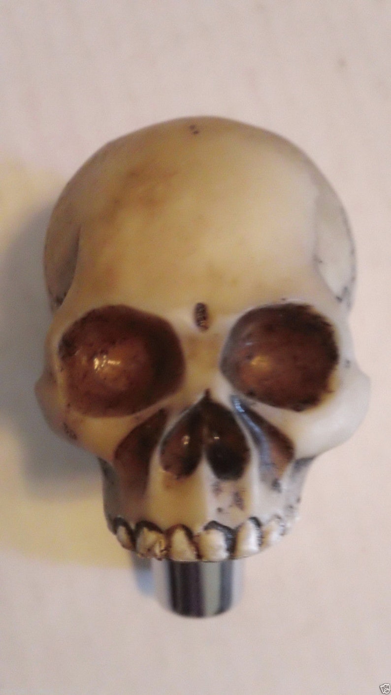 Detail Modelo Tap Handle Skull Nomer 21