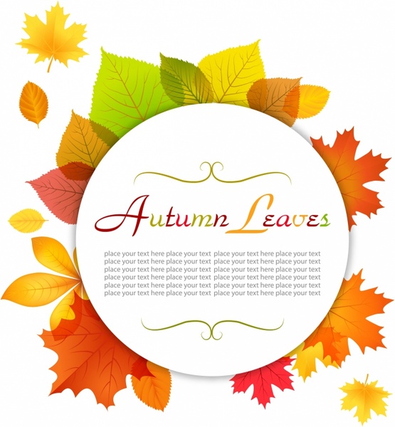 Detail Modern Vector Frame Nomer 18